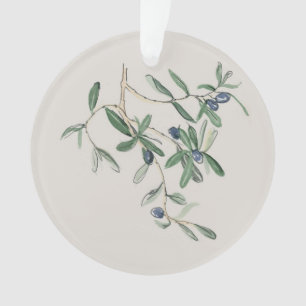 Olea Europana - Olive noir
