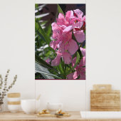 Oleander Art Poster -24x36 - andere beschikbare fo (Keuken)