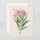  Oleander Botanische Illustratie Briefkaart (Voorkant / Achterkant)