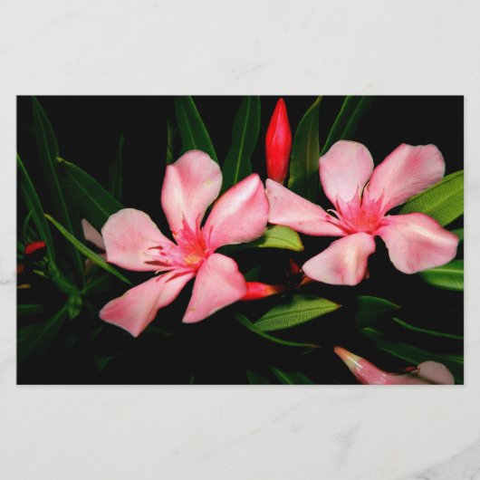 Oleander Briefpapier (Voorkant)