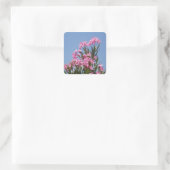 Oleander Flower Stickers (Tas)