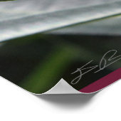 Oleander Poster -24x36 - andere beschikbare format (Hoek)