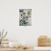 Olga Rozanova Zedign Affiche d'art #156 (Cuisine)