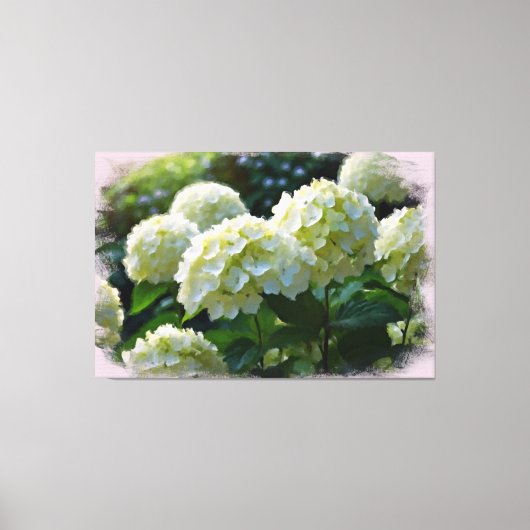 *~* Olie Hydrangea TV2 Kunst Uitgerekte Canvas Pri Afdruk (Voorkant)