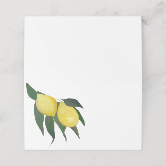 Olieverf Citroen plaatskaarten (Buitenkant ongevouwen)