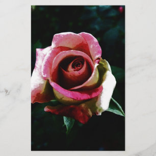 Olieverf rode roos briefpapier