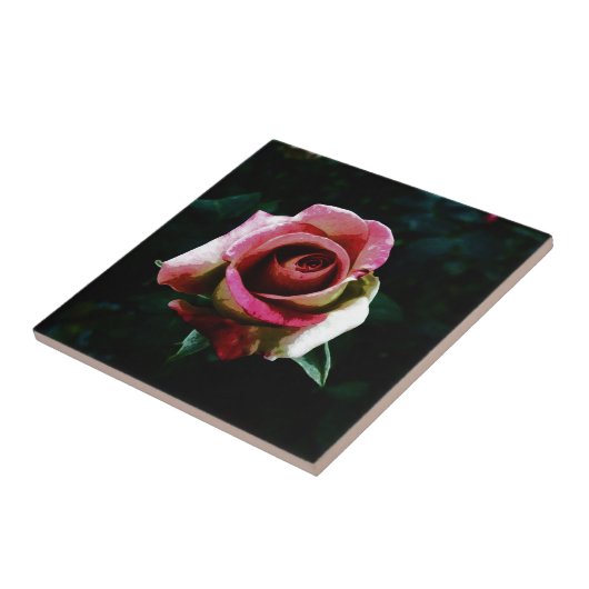 Olieverf rode roos tegeltje (Zijkant)