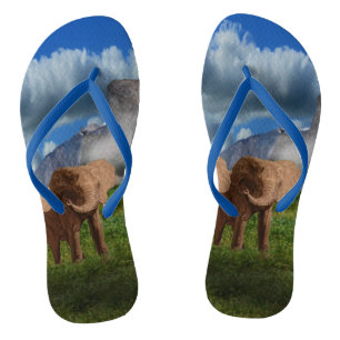 olieverf, Teenslippers