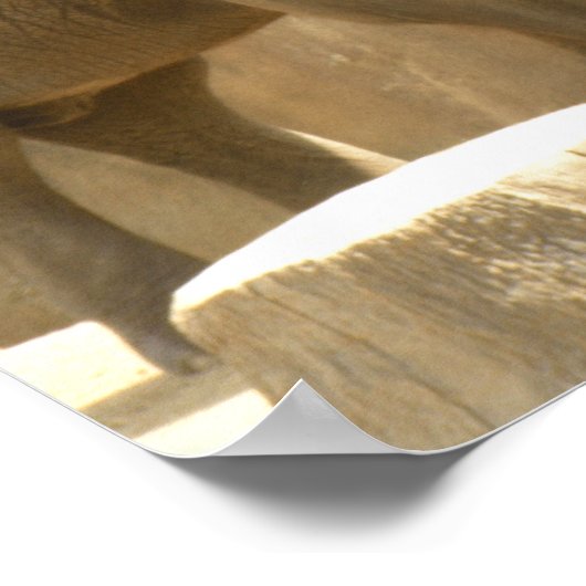 olifant2 poster (Hoek)