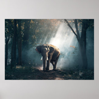 olifant-1822636 poster