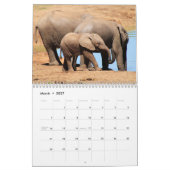 Olifant 2025 kalender (Mar 2027)