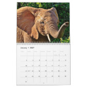 Olifant 2025 kalender (Jan 2027)