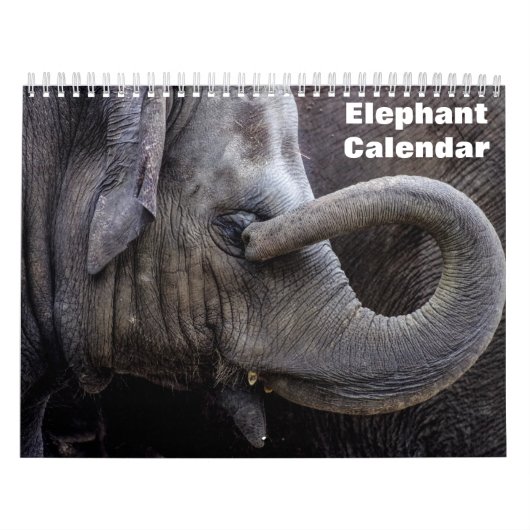 Olifant 2026 kalender (Hoes)