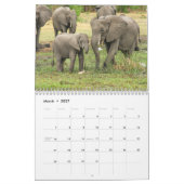 Olifant 2026 kalender (Mar 2027)