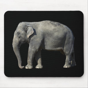 Olifant aanpassen muismat