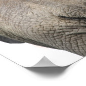 Olifant achter kinderkamerprint poster (Hoek)