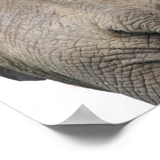 Olifant achter kinderkamerprint poster (Hoek)