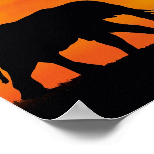 olifant - afrika poster (Hoek)