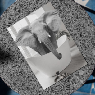 Olifant badkuip Zwart Wit Badkamer kunst Ansichtka Briefkaart