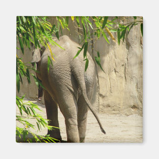 Olifant Booty Magnet Magneet