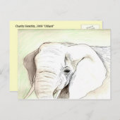 Olifant Briefkaart (Voorkant / Achterkant)