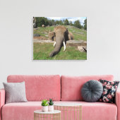 Olifant Close-up Canvas Afdruk (Insitu (Woonkamer))
