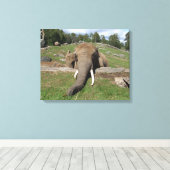 Olifant Close-up Canvas Afdruk (Insitu (Houten vloer))
