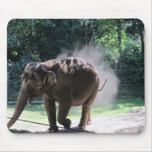 Olifant die Stof Opwerpt Muismat