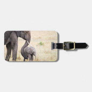 Olifant dierenfotografie Afrika Safari dier Bagagelabel