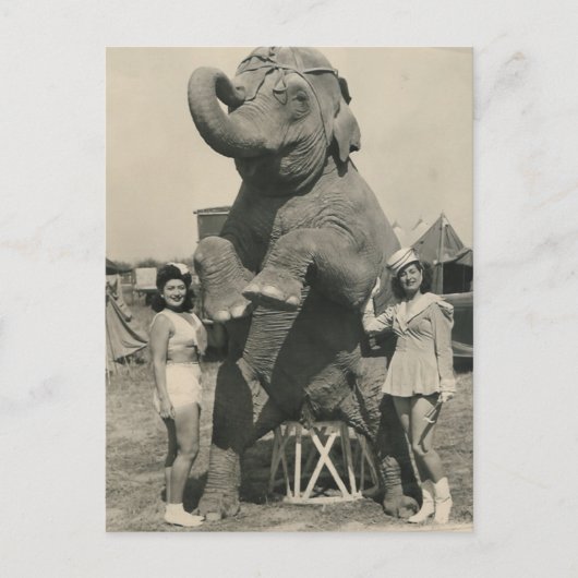 olifant en 2 meisjes circus briefkaart (Voorkant)