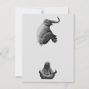 Olifant en Mediterende Luiaard Harmonie Briefkaart