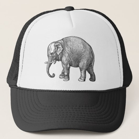 Olifant honkbalhoed trucker pet (Voorkant)
