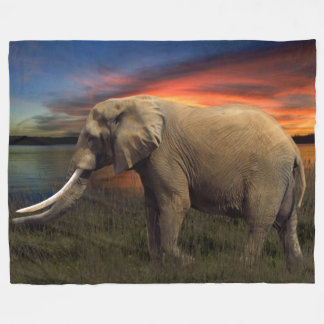 olifant in de zonnebrandcrème, groot fleece deken