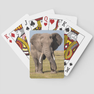 Olifant in een agressieve houding pokerkaarten