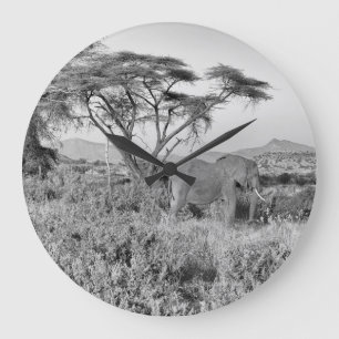 Olifant in Samburu Grote Klok
