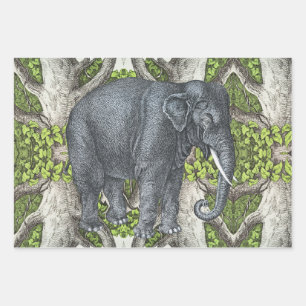 olifant inpakpapier vel