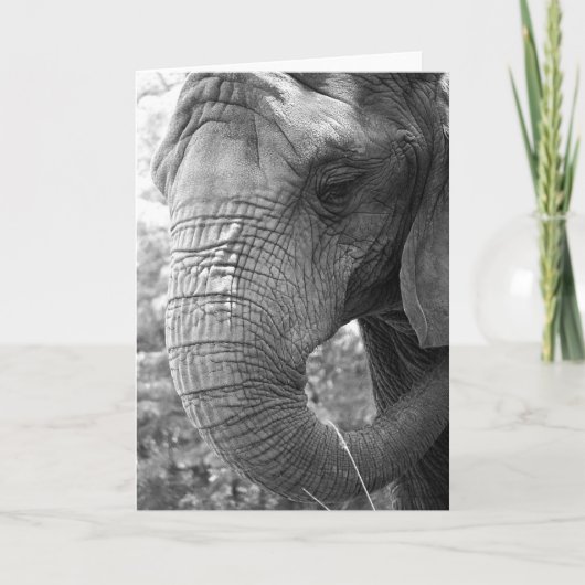 Olifant Kaart (Voorkant)