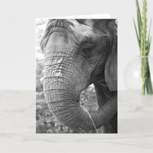 Olifant Kaart