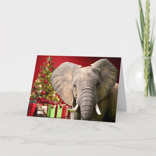 Olifant Kerstgroeten Kaart (Voorkant)