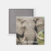 Olifant Koelkast Magneet - Zuid-Afrika (Voorkant / Achterkant)