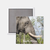 Olifant Koelkast Magneet - Zuid-Afrika (Voorkant / Achterkant)
