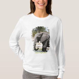 Olifant (Loxodonta africana), Savute-kanaal T-shirt