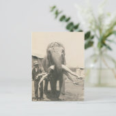 olifant met meisje in de mond briefkaart (Staand voorkant)