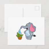 Olifant met Plant Briefkaart (Voorkant / Achterkant)