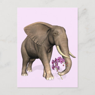 olifant met roze orchidee briefkaart