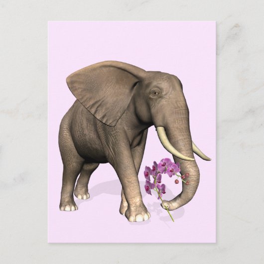 olifant met roze orchidee briefkaart (Voorkant)