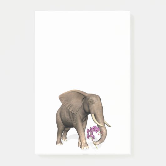 olifant met roze orchidee post-it® notes (Voorkant)