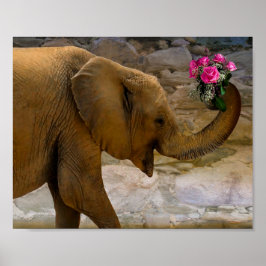 Olifant met Rozen Poster