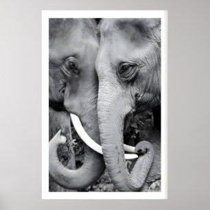 Olifant Muur Kunstprint Close-Up Zwart en Wit Poster