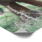 olifant poster (Hoek)